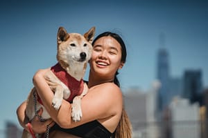 Dog 