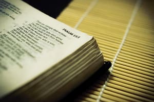 bible